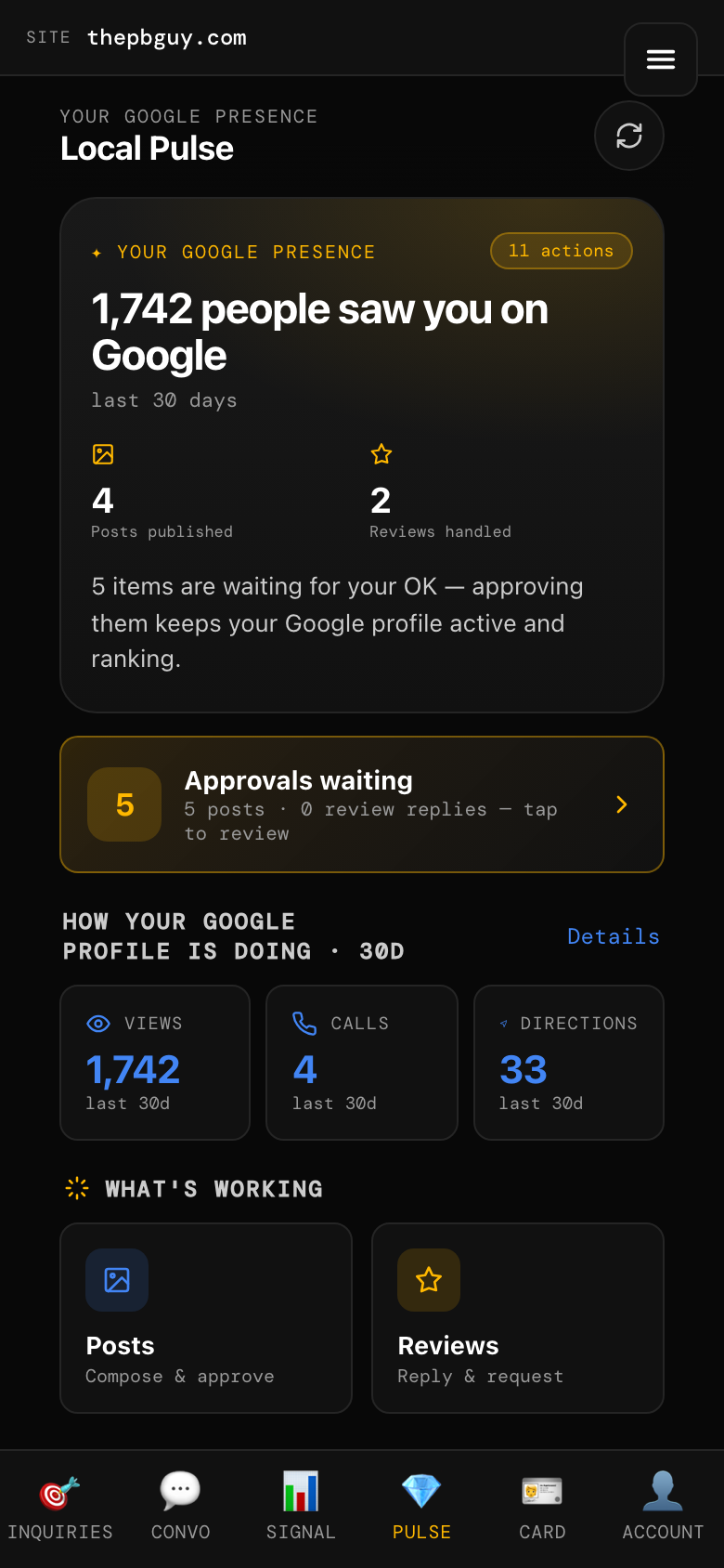 Local Pulse screen showing your Google presence stats and approvals